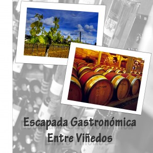 Escapada Gastronómica entre viñedos